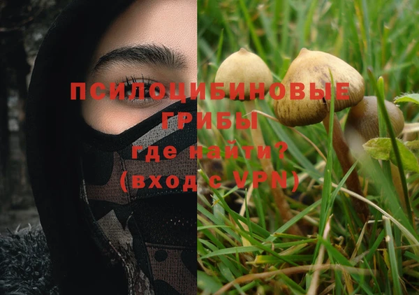 таблы Богородицк