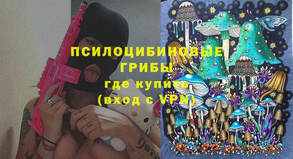 ешки Верхний Тагил