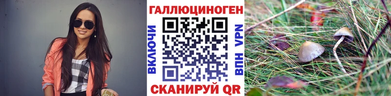 hydra ссылка  что такое   Камышлов  Псилоцибиновые грибы Cubensis 